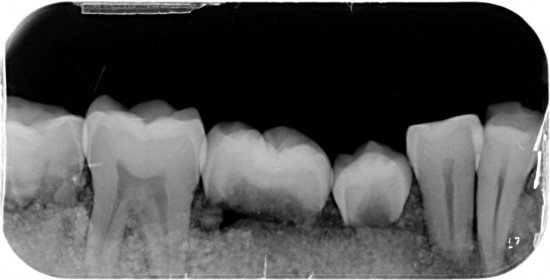 030253 004 20240221 1