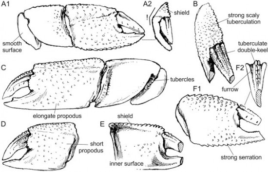 1 s20 s0195667119300321 gr5