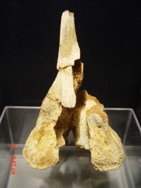 1237280632dsc01982 0