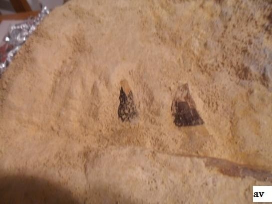 1739766259sam 0369 0