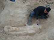 1885312109578744441162810a 0