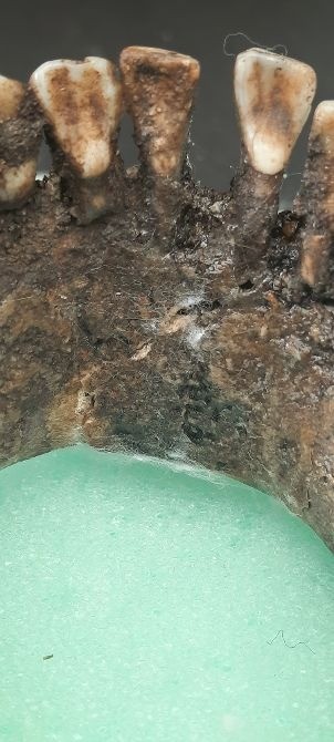 20231108142922   kopie