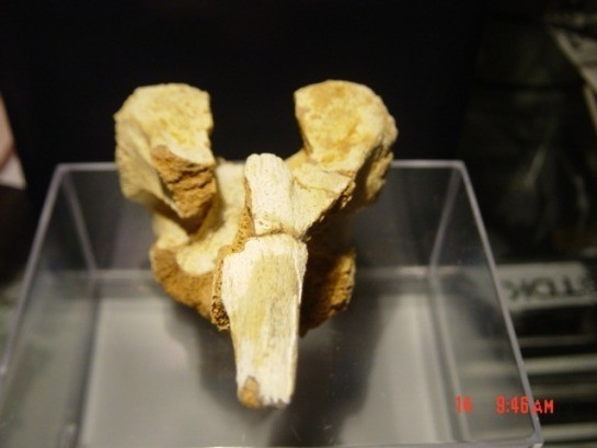 2095032251dsc01984 0