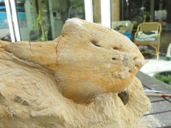 22203416893059928481243666422313750732089606n 0