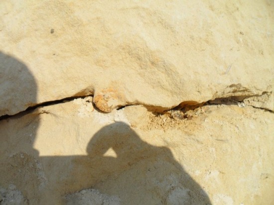 2223291689297872645124366642231375064838653n