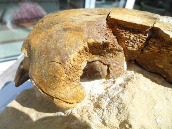 22267216893131530271243666422313750866332139n 0