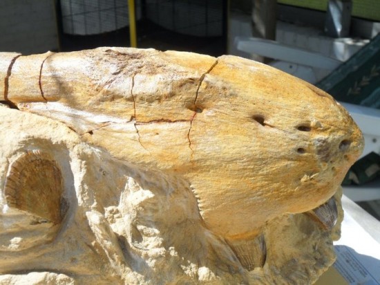 2297081689312193003124366642231375081953716n 0