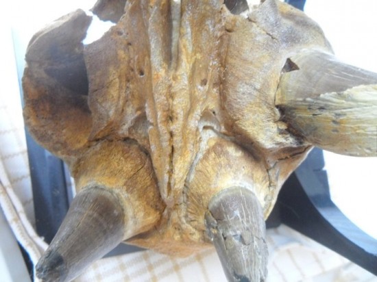 26487817702951375261243666422314801875040027n