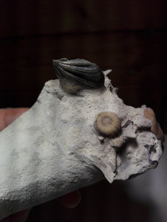 2690404515958356038348733253745725827863960n