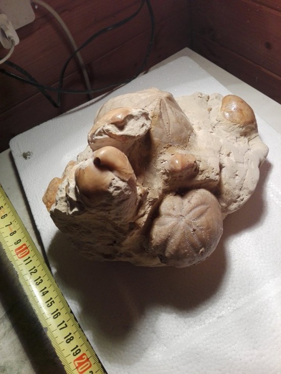 300075721670883266330106364562451n