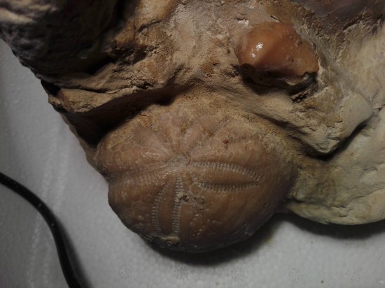 300705961670883272996772540504973o