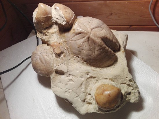 300740371670883146330118428664588o