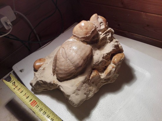 3012546916708830996634561055224780o