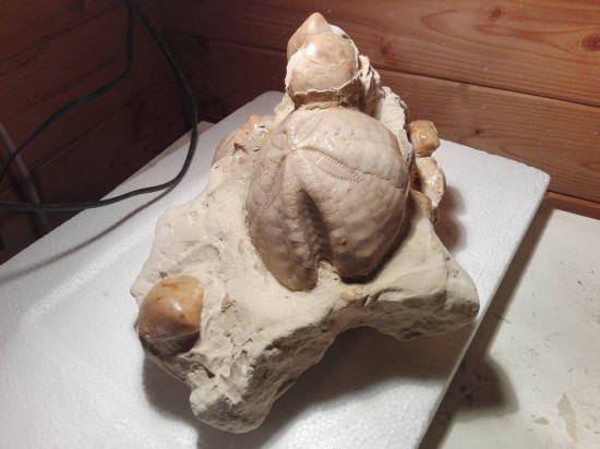 3012585516708831996634462111047488o