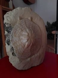 3644190217622392705278385527737121722335232n