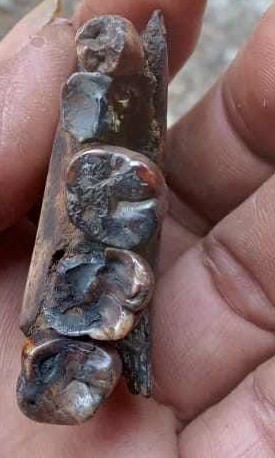 3714851483639490160180207624800796761966607n