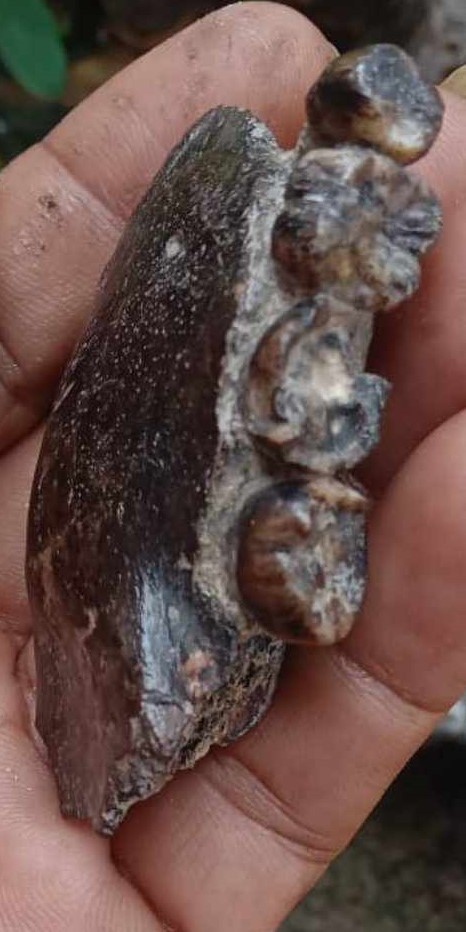 3715148246521142501186808191101992687675198n