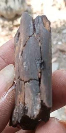 39556614214041870868390872005761743971734842n