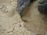 4003113560261010595352466a