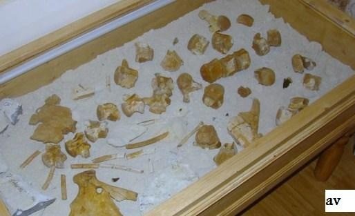 4010813552232009877478142n