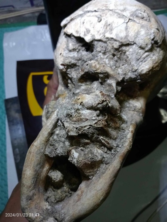 4218191991648327672629432436453640851341608n