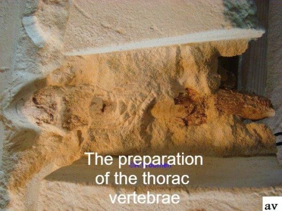 43107849102126201120780965359275172794728448n