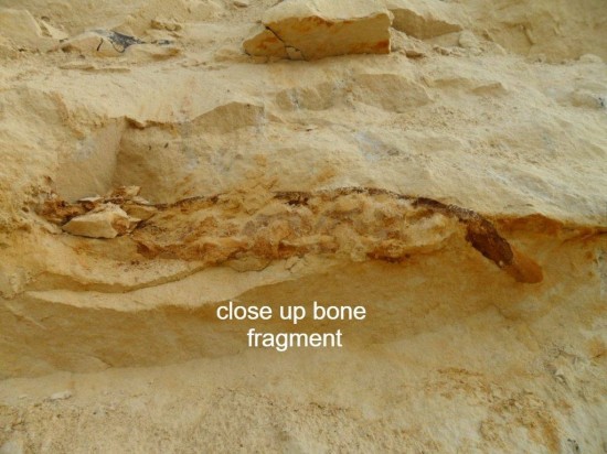 4314362010212619923073371804567766769074176o