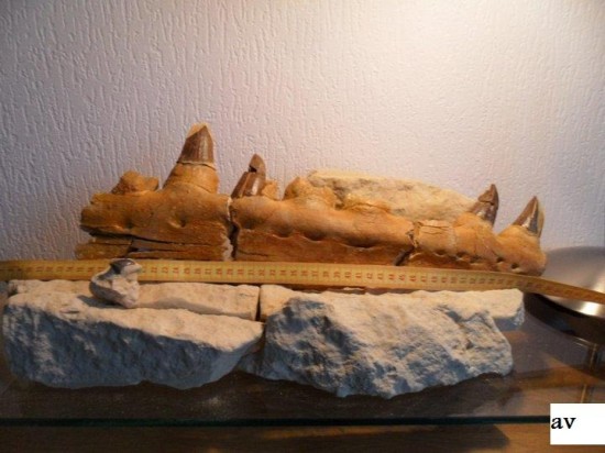 745581449286472510218452n