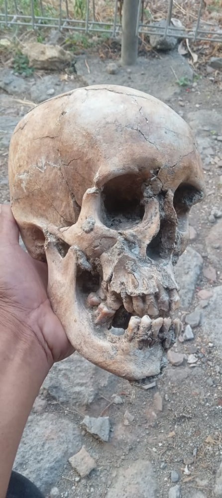 Afbeelding van whatsapp op 2023 11 05 om 1258102a952c8f