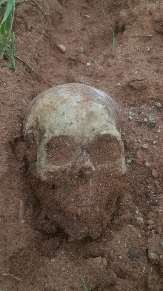 Afbeelding van whatsapp op 2024 04 06 om 114649e1e2bcd3