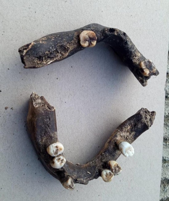 Afbeelding van whatsapp op 2024 04 18 om 20273873cf4e1f