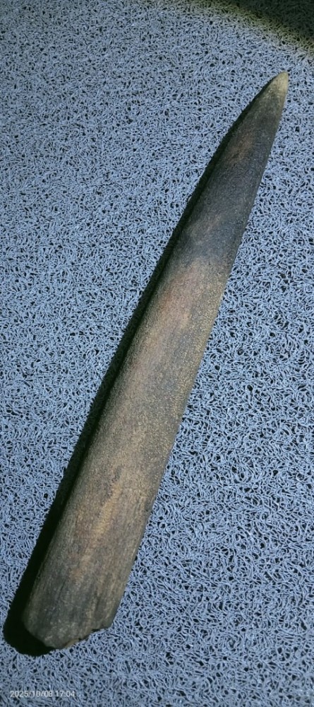 Afbeelding van whatsapp op 2025 10 08 om 122513046176fa