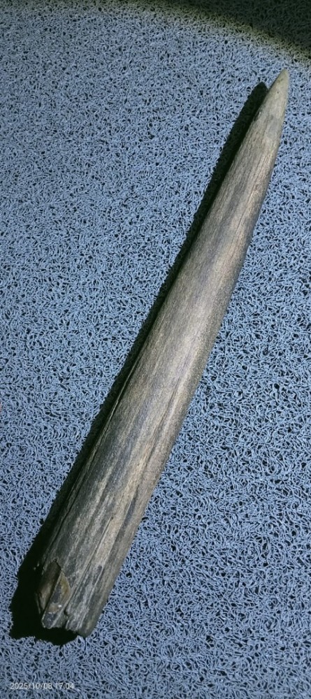 Afbeelding van whatsapp op 2025 10 08 om 122513731dd9e2