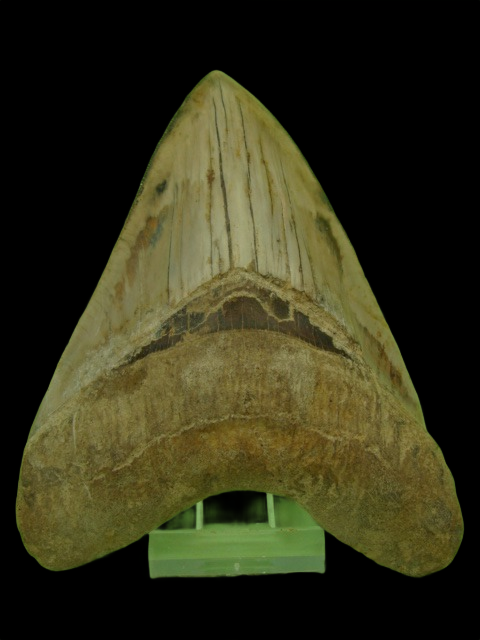 Dsc04802 0