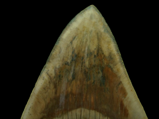 Dsc04808 0