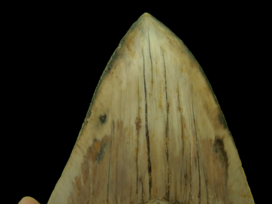 Dsc04809 0