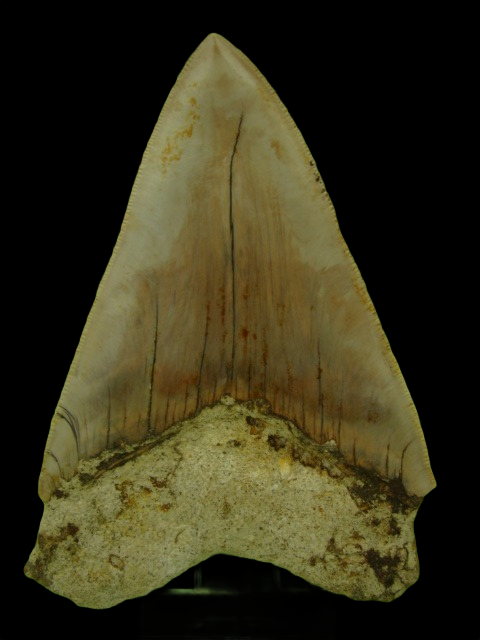Dsc04867 0