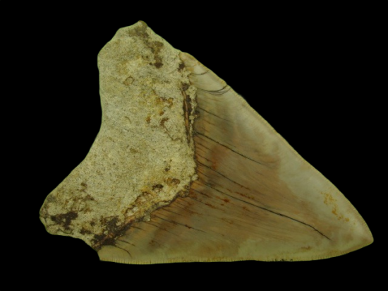 Dsc04869 0