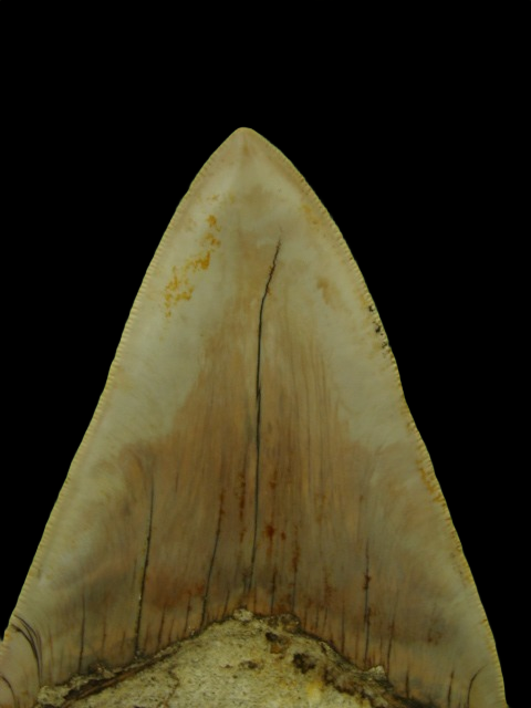 Dsc04872 0