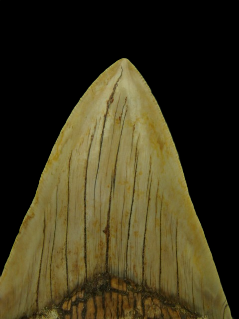 Dsc04873 0