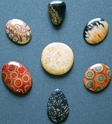 Figure 10 mixed cabs