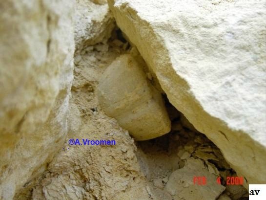 I285415639352395160szw1280h1280 0