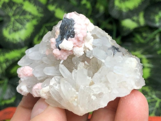 Il1140xn207343580242dk