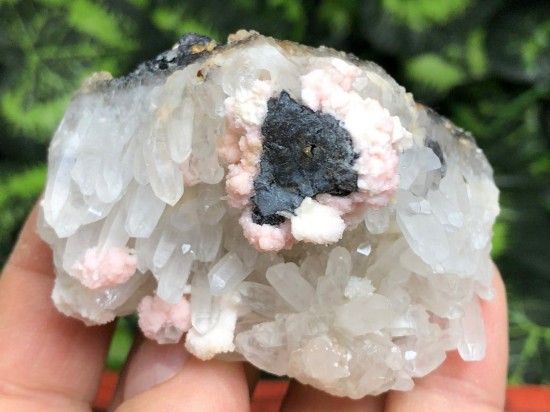 Il1140xn2121001039o3my