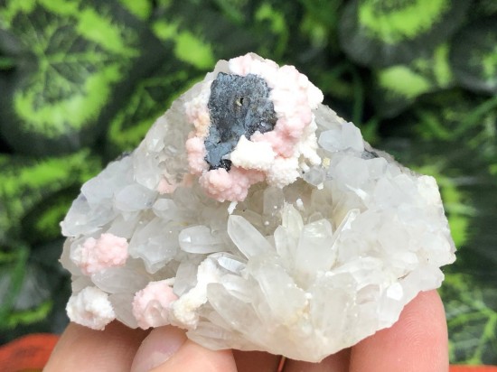 Il1140xn21210010676e6a