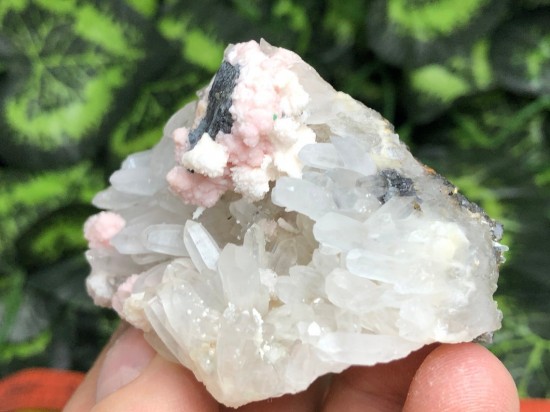 Il1140xn21210055191ilc