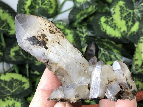 Il1140xn23816611539hid