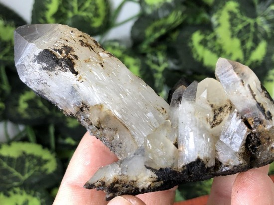 Il1140xn2381661423syrb