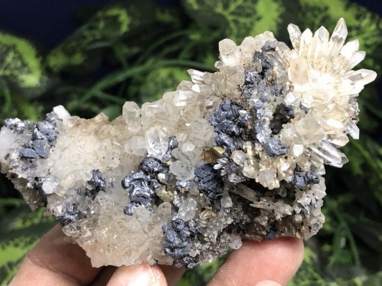 Il794xn1784829038tgsv