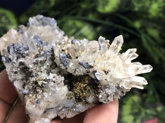 Il794xn183229707560gp